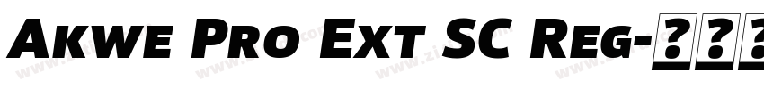 Akwe Pro Ext SC Reg字体转换